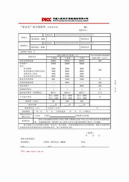 PICC“家安宝”组合保险单.DOC