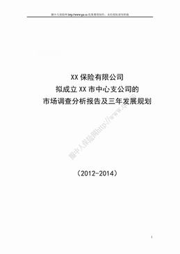 XX中心支公司市场调查分析报告及三年发展规划（19页）.doc