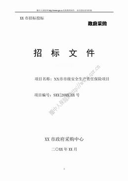XX市市级安全生产责任保险项目招标文件（30页）.doc