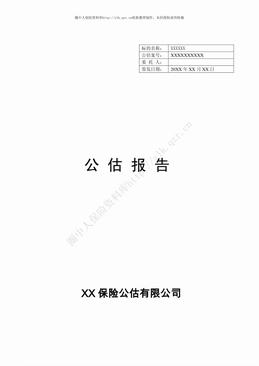XX车辆公估报告（9页）.pdf