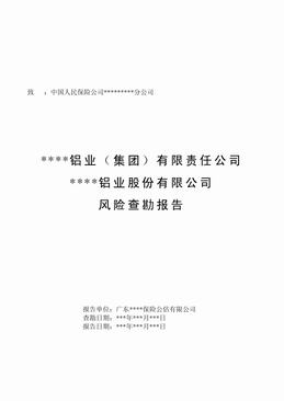 XX铝业公司风险查勘报告（32页）.pdf
