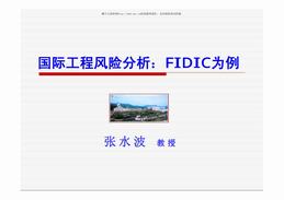 国际工程风险分析：FIDIC为例（29页）PPT.pdf