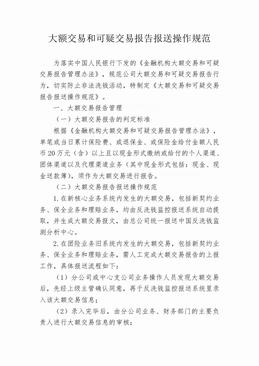 大额交易和可疑交易报告报送操作规范（11页）.doc