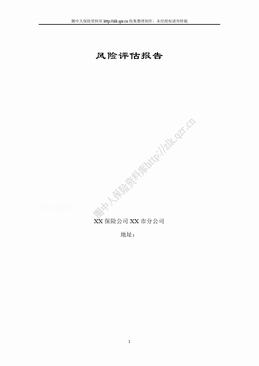 某产险分公司风险评估报告模板（10页）.doc