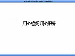 某寿险公司客户服务体系分享（13页）.ppt