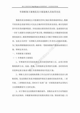 车险赔案立案规范及立案违规人员处罚办法（13页）.doc