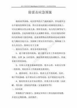 防雷击应急预案（5页）.doc