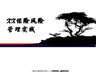 保险风险管理实践