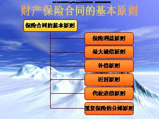 财产保险合同的基本原则(51页)ppt.rar