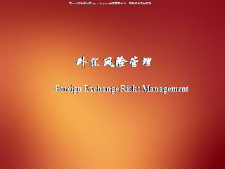 外汇风险管理（48页）
