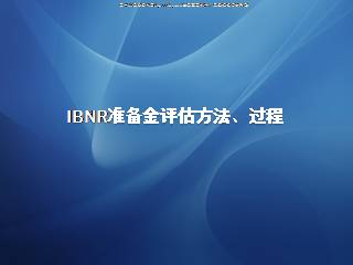 IBNR准备金评估方法、过程