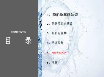 某产险公司船舶保险理赔