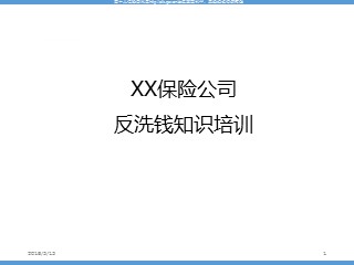 某保险公司反洗钱知识培训